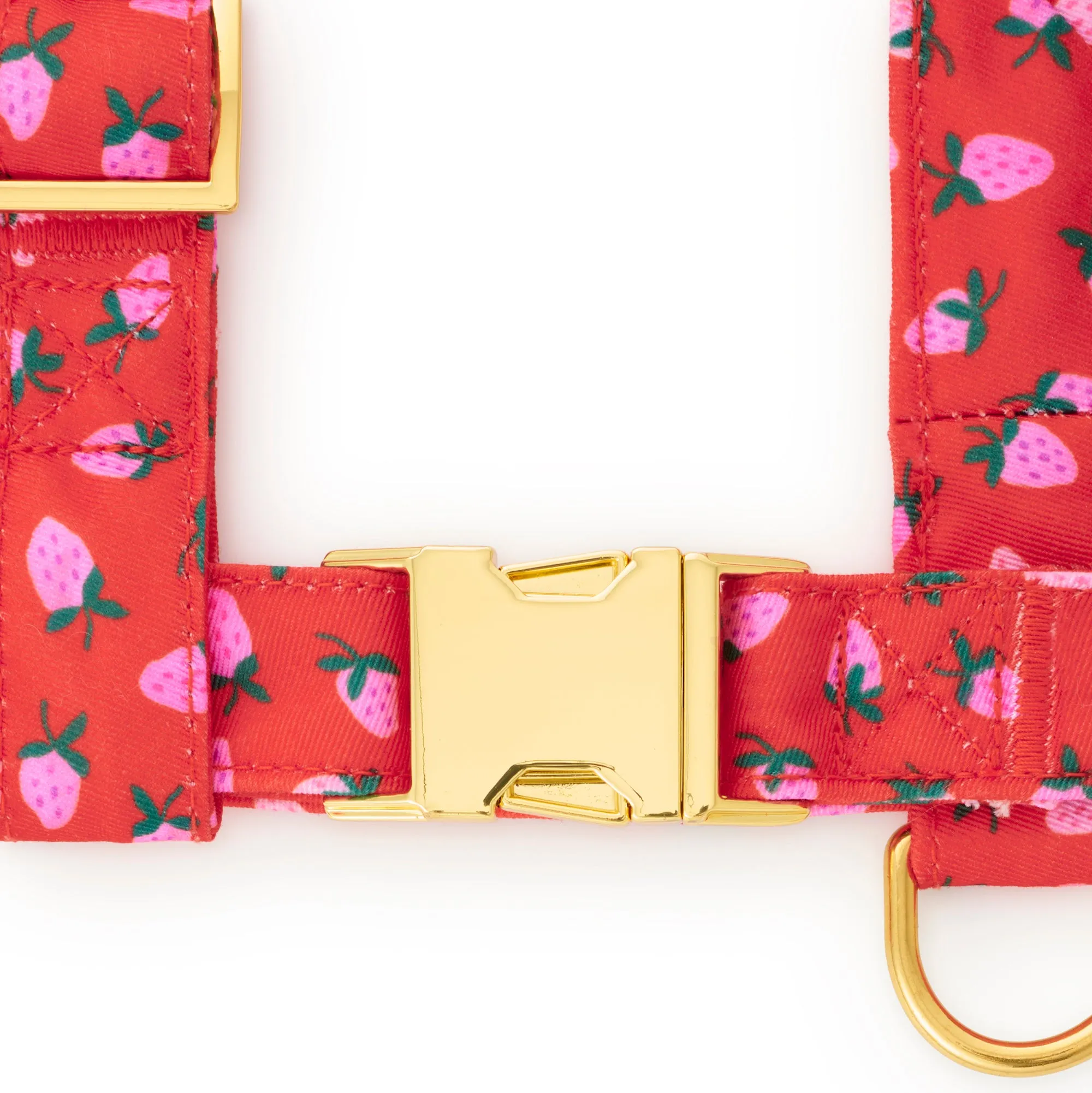 Berry Sweet Harness Walk Set