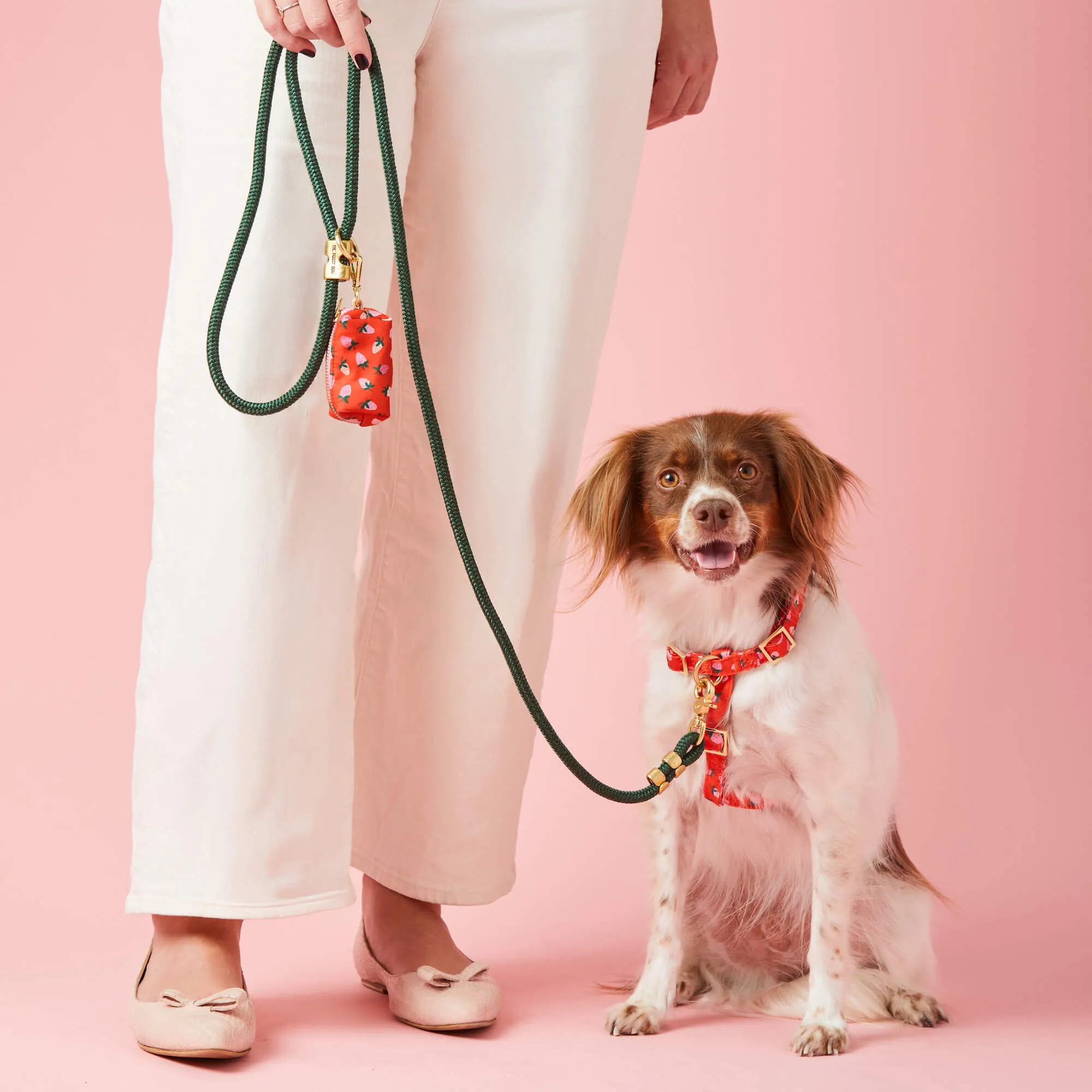 Berry Sweet Harness Walk Set