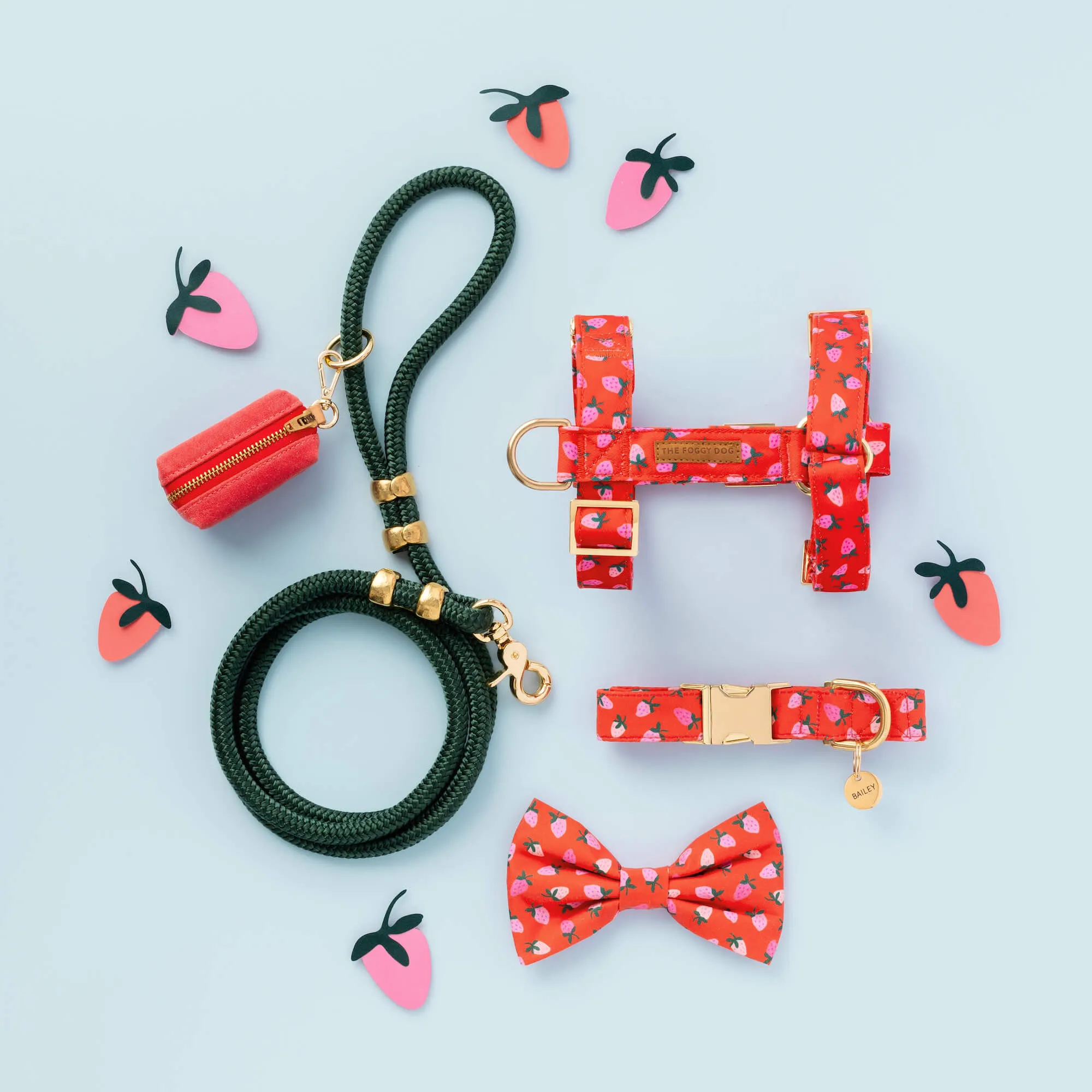 Berry Sweet Harness Walk Set