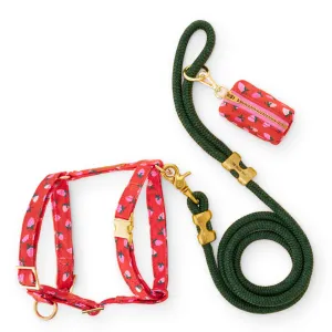 Berry Sweet Harness Walk Set