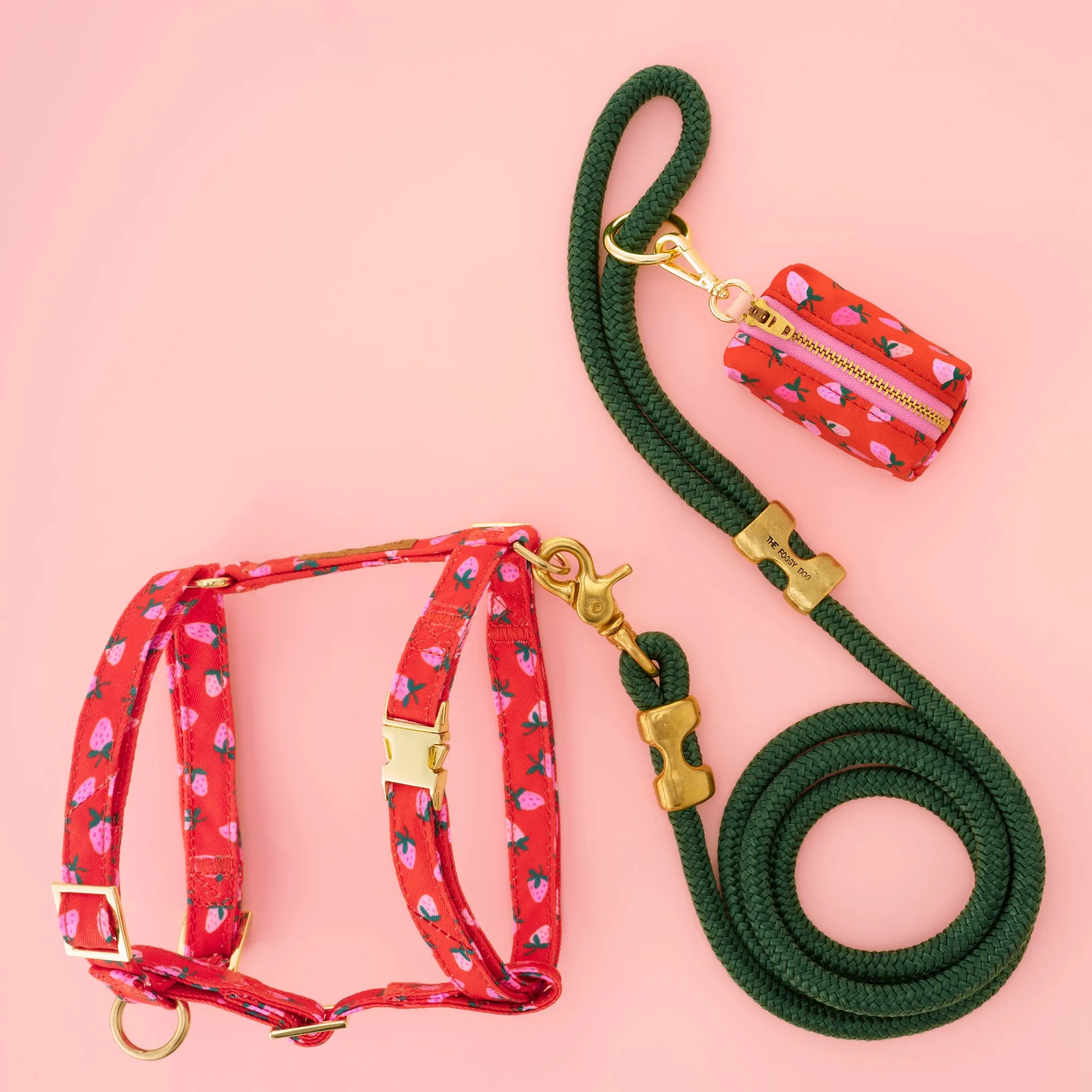 Berry Sweet Harness Walk Set