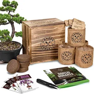 Bonsai Tree Seed Starter Kit - Mini Bonsai Plant Growing Kit, 4 Types of Seeds, Potting Soil, Pots, Pruning Shears Scissor Tool, Plant Markers, Wood Gift Box, Indoor Garden Gardening Gifts Ideas