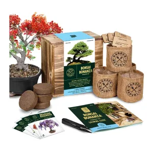 Bonsai Tree Seed Starter Kit | Mini Bonsai Plant Growing Kit | 4 Types of Seeds