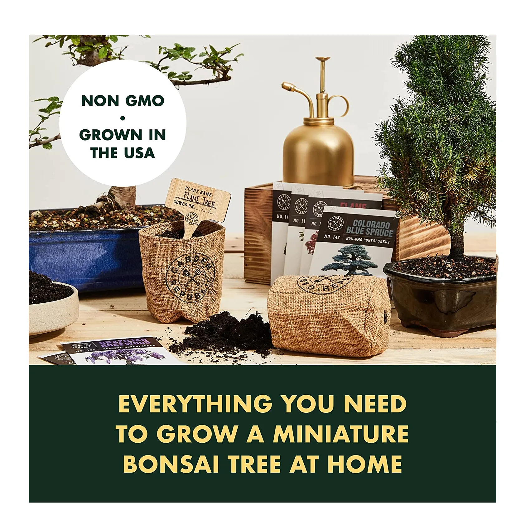 Bonsai Tree Seed Starter Kit | Mini Bonsai Plant Growing Kit | 4 Types of Seeds