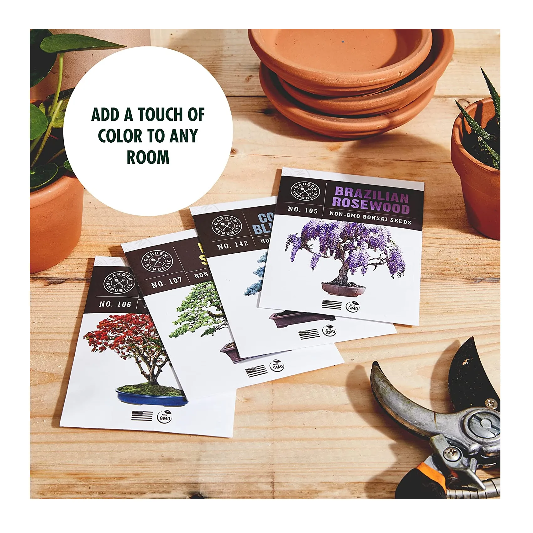 Bonsai Tree Seed Starter Kit | Mini Bonsai Plant Growing Kit | 4 Types of Seeds