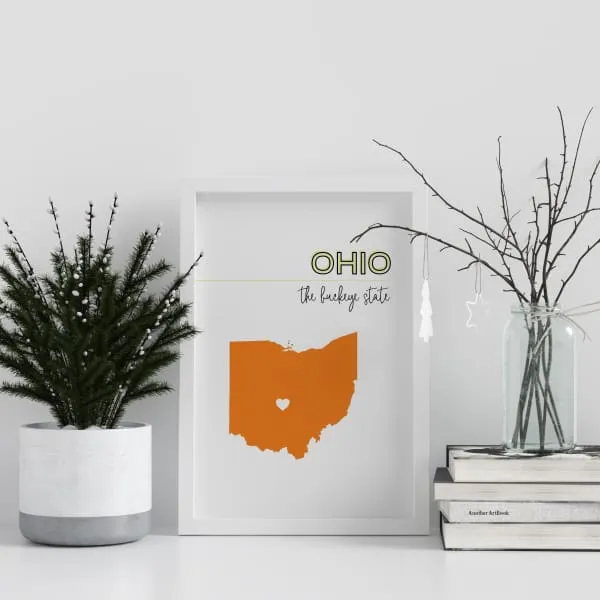 Customizable Ohio state art