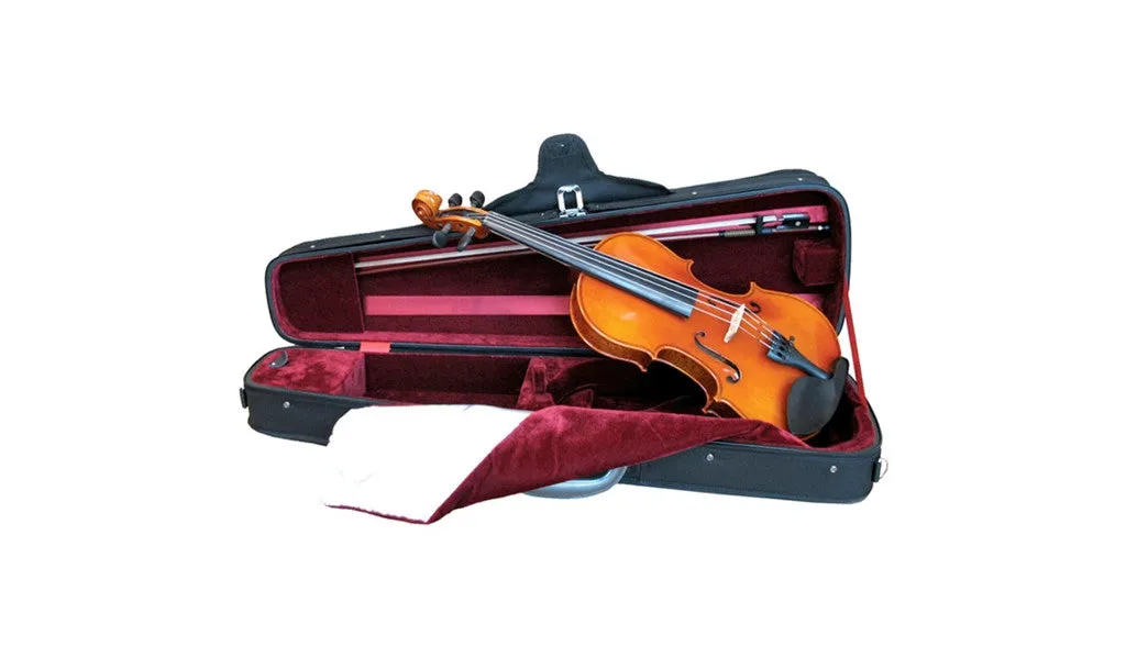 Eastman 1302  Dart Shaped Violin Case