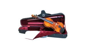 Eastman 1302  Dart Shaped Violin Case
