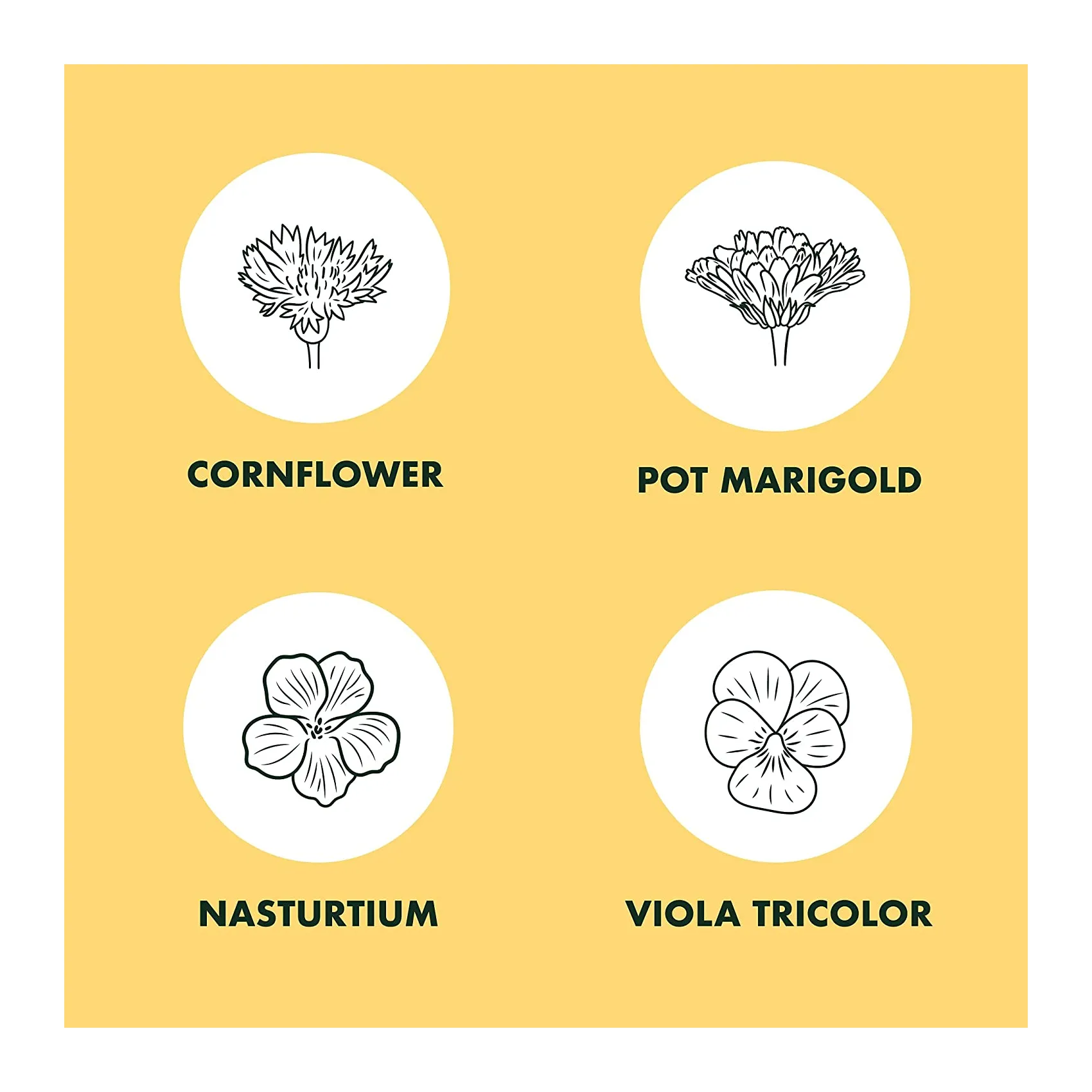 Edible Flowers Indoor Garden Seed Starter Kit | Non-GMO Heirloom Seeds for Planting