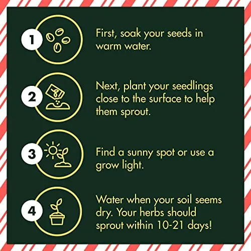 Indoor Herb Garden Seed Starter Kit - Herbal Tea Growing Kits, Grow Medicinal Herbs Indoors, Lavender, Chamomile, Lemon Balm, Mint Seeds for Planting, Soil, Plant Markers, Pots, Infuser, Planter Box