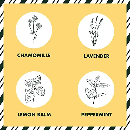 Indoor Herb Garden Seed Starter Kit - Herbal Tea Growing Kits, Grow Medicinal Herbs Indoors, Lavender, Chamomile, Lemon Balm, Mint Seeds for Planting, Soil, Plant Markers, Pots, Infuser, Planter Box