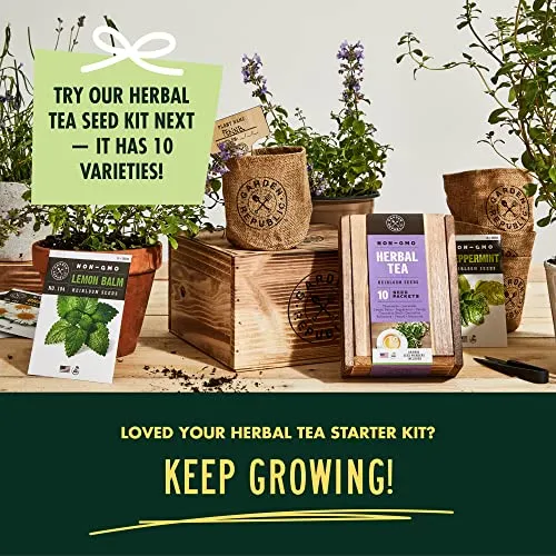 Indoor Herb Garden Seed Starter Kit - Herbal Tea Growing Kits, Grow Medicinal Herbs Indoors, Lavender, Chamomile, Lemon Balm, Mint Seeds for Planting, Soil, Plant Markers, Pots, Infuser, Planter Box
