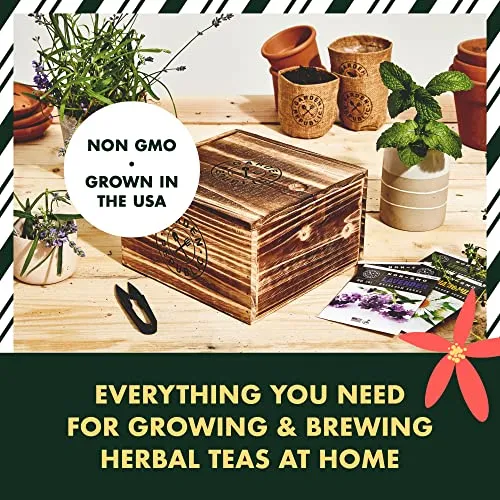 Indoor Herb Garden Seed Starter Kit - Herbal Tea Growing Kits, Grow Medicinal Herbs Indoors, Lavender, Chamomile, Lemon Balm, Mint Seeds for Planting, Soil, Plant Markers, Pots, Infuser, Planter Box