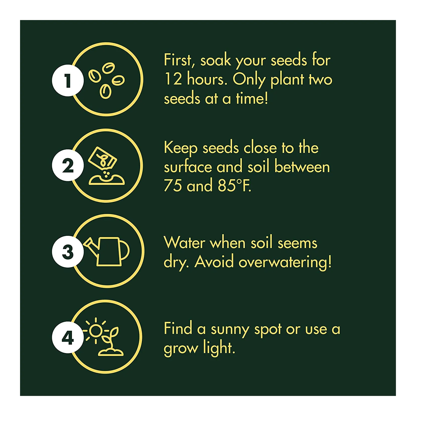Indoor Pepper Seed Starter Kit | Pepper Growing Kit with 4 Non-GMO Hot Pepper Seeds