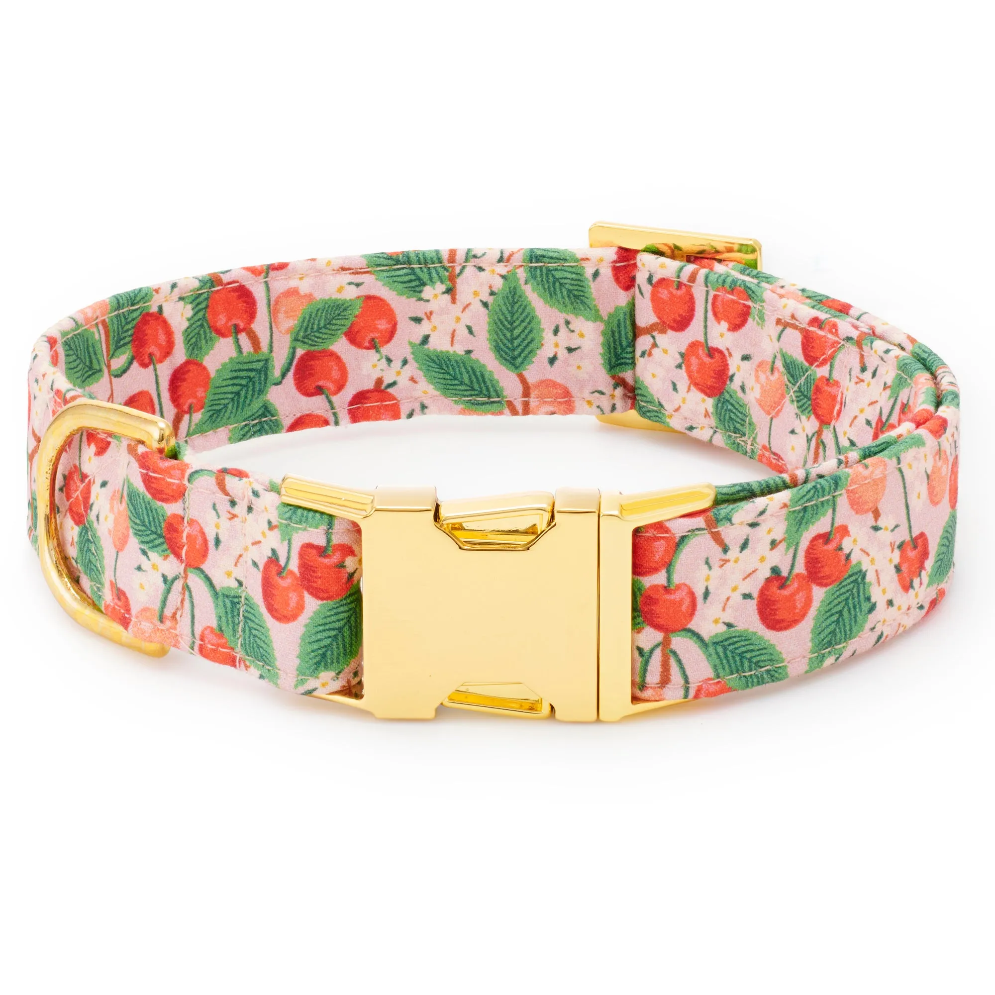 Rifle Paper Co. x TFD Cherry Blossom Collar Walk Set