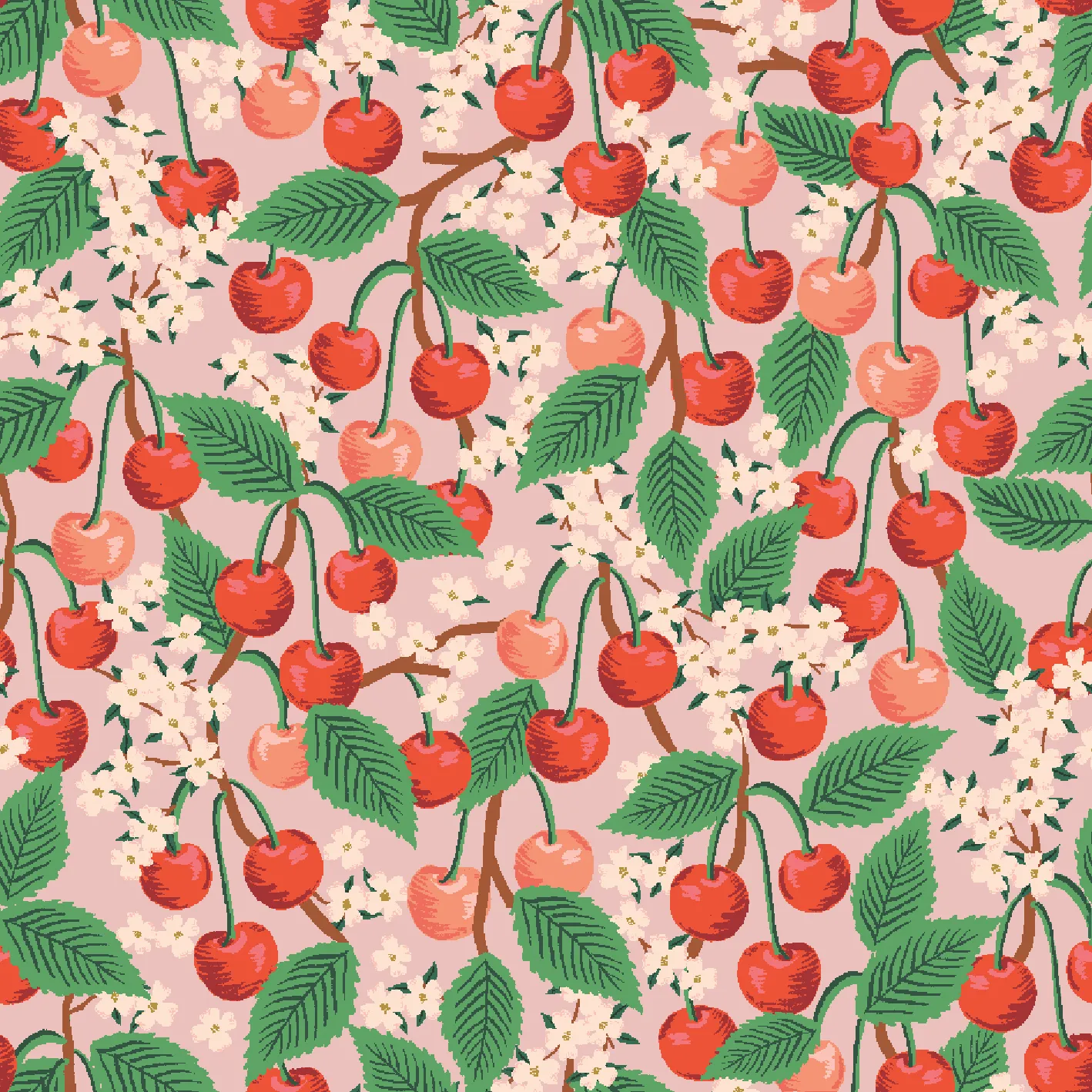 Rifle Paper Co. x TFD Cherry Blossom Collar Walk Set