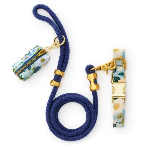 Rifle Paper Co. x TFD Vintage Blossom Collar Walk Set