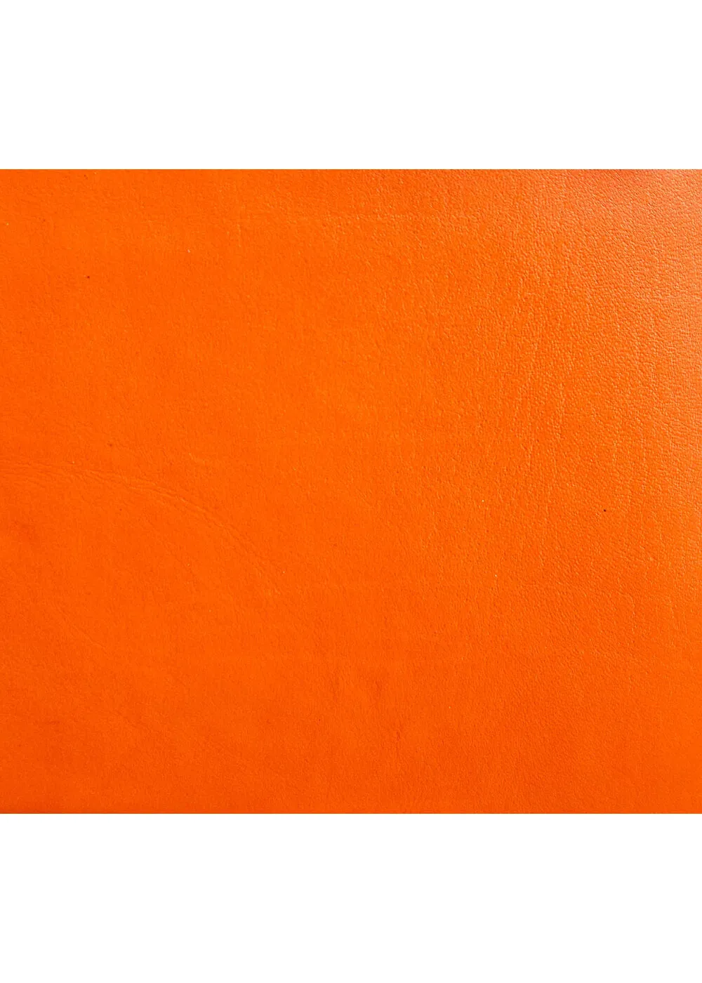 Saddler Ellie Leather Coin Purse Orange