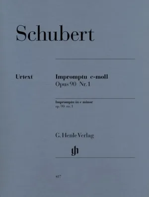 Schubert: Impromptu in C Minor Op 90 No 1 D 899 Piano Solo