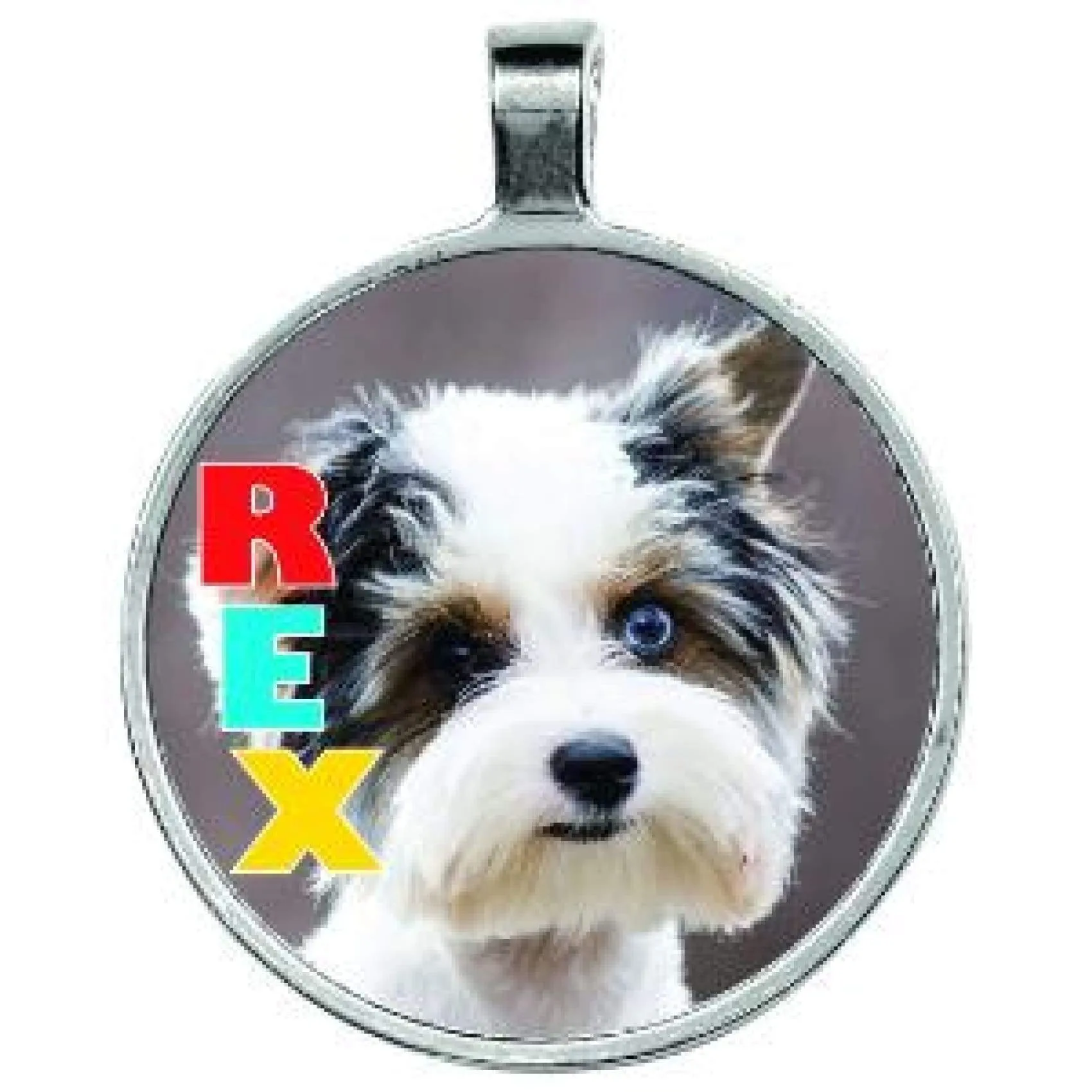 Silver Framed Pendant