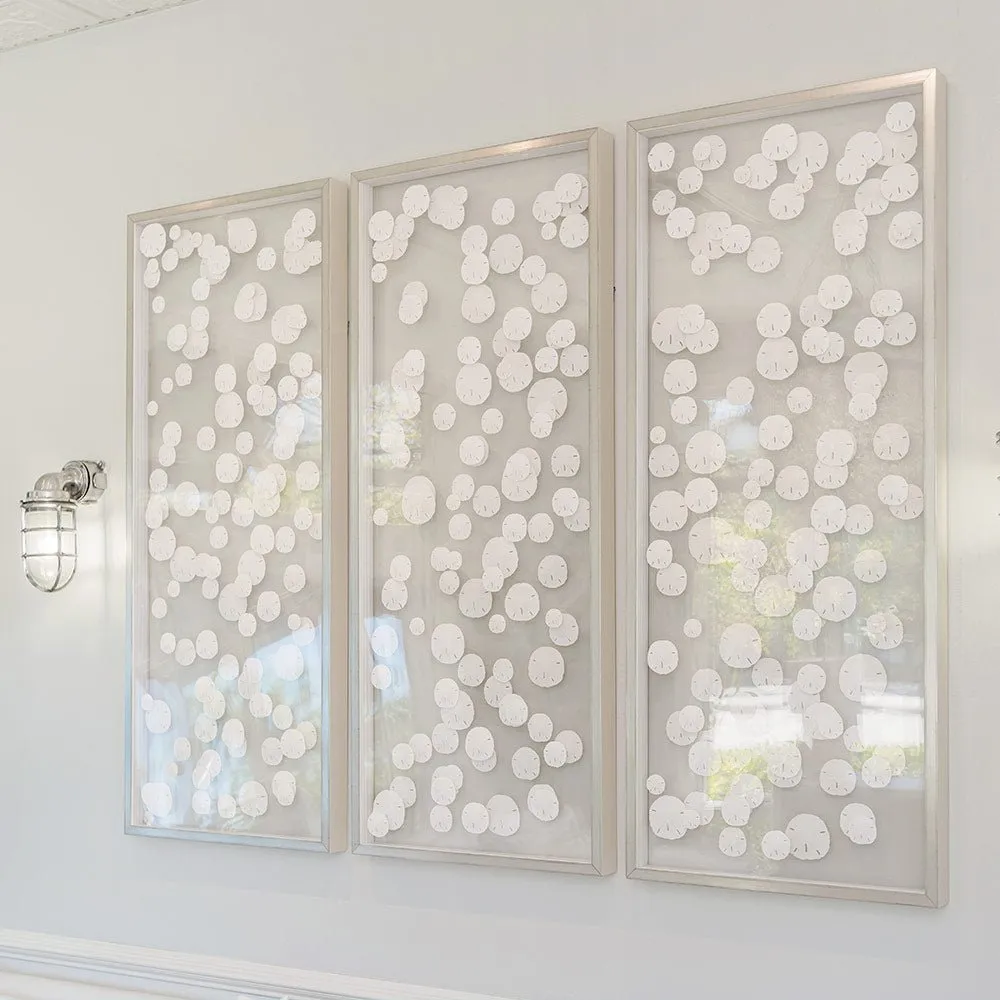 Silver Framed Sand Dollar Triptych: Coastal Elegance with Whimsical Charm -Several Sizes