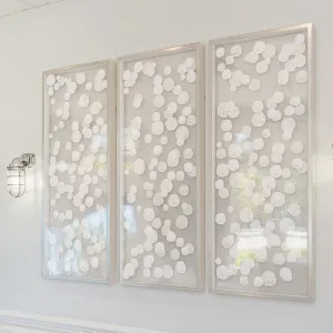 Silver Framed Sand Dollar Triptych: Coastal Elegance with Whimsical Charm -Several Sizes