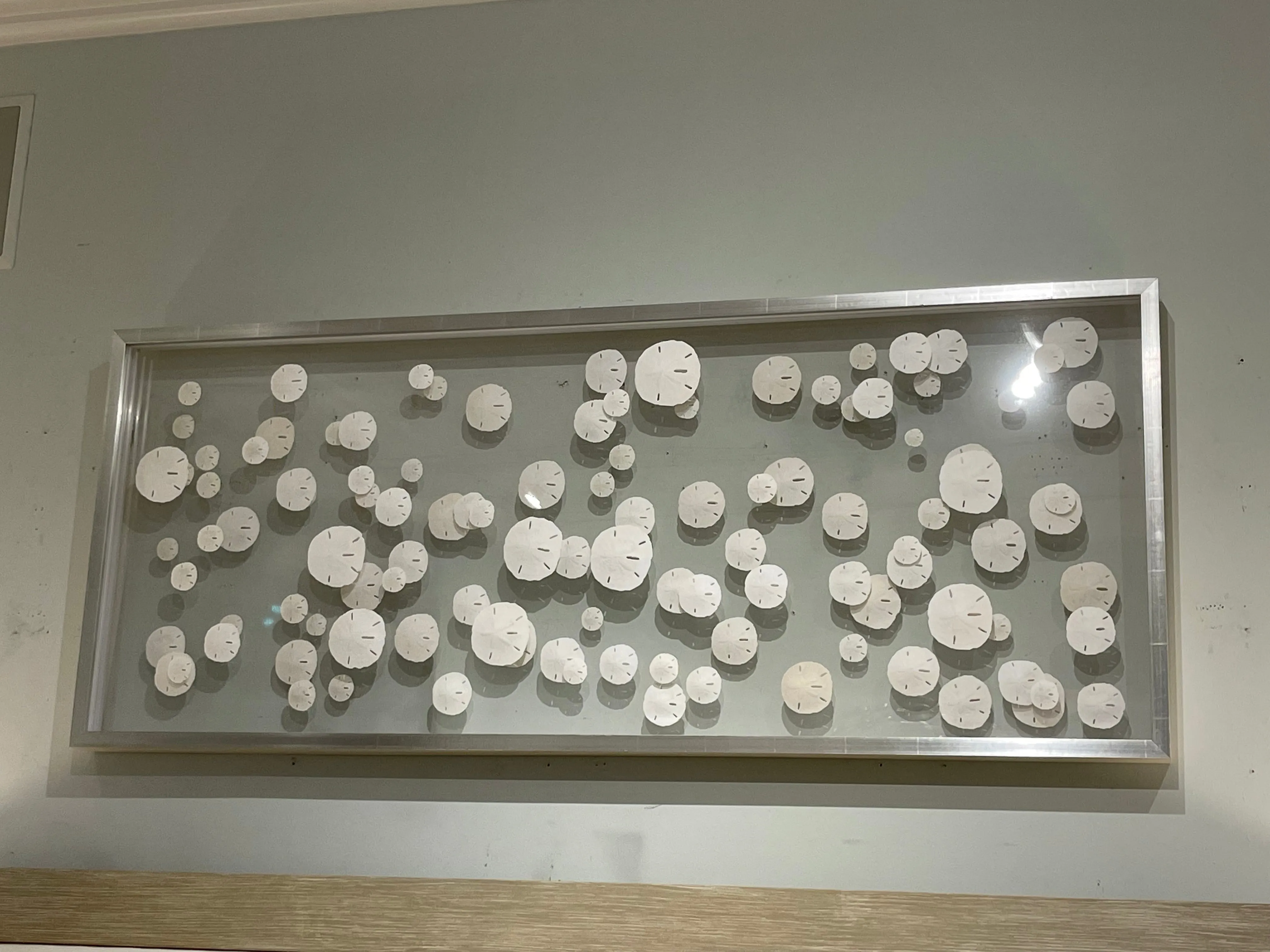 Silver Framed Sand Dollar Triptych: Coastal Elegance with Whimsical Charm -Several Sizes