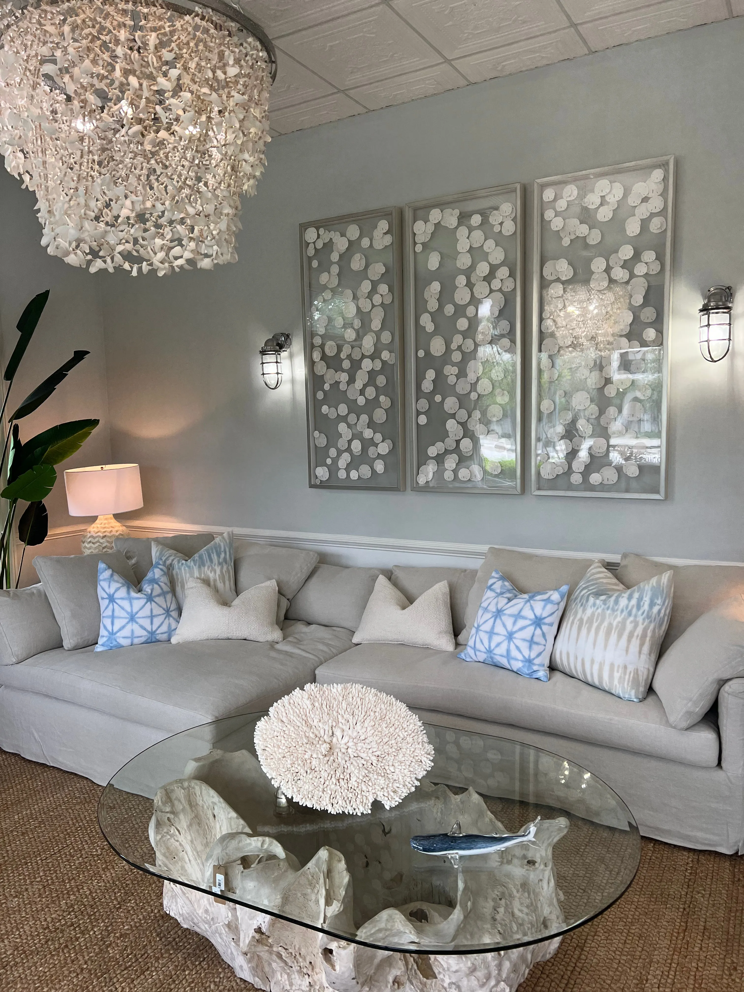 Silver Framed Sand Dollar Triptych: Coastal Elegance with Whimsical Charm -Several Sizes