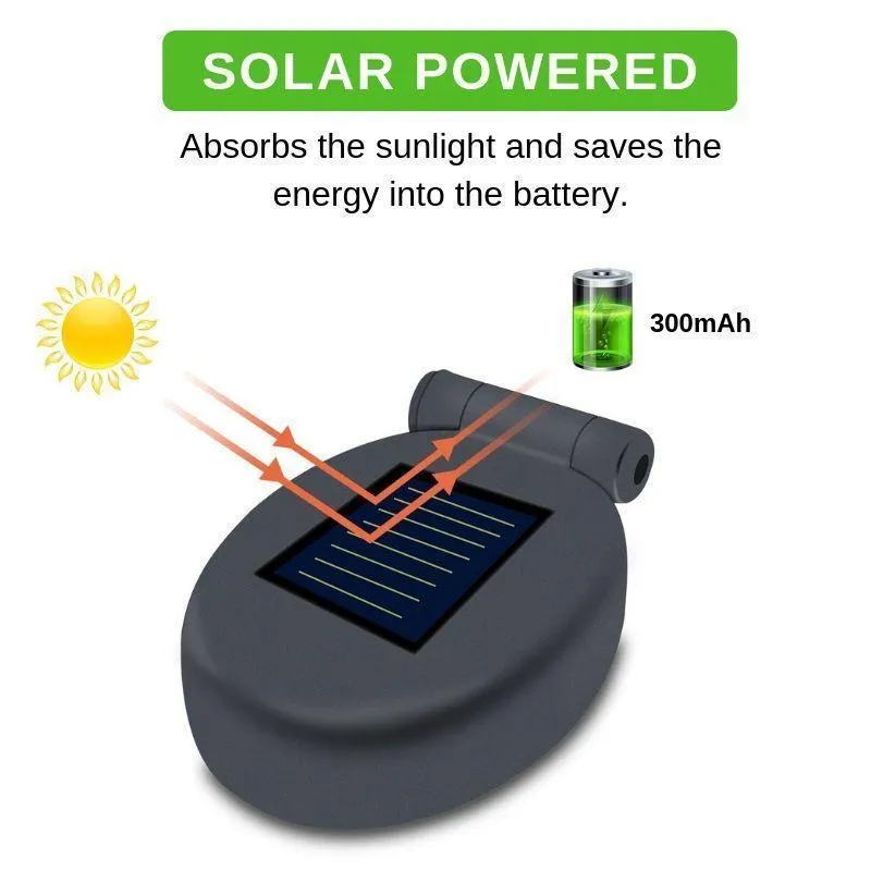 Solar LED Roses