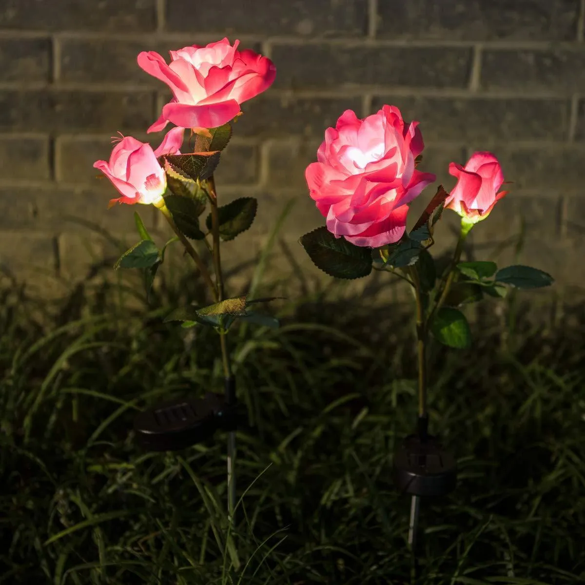 Solar LED Roses