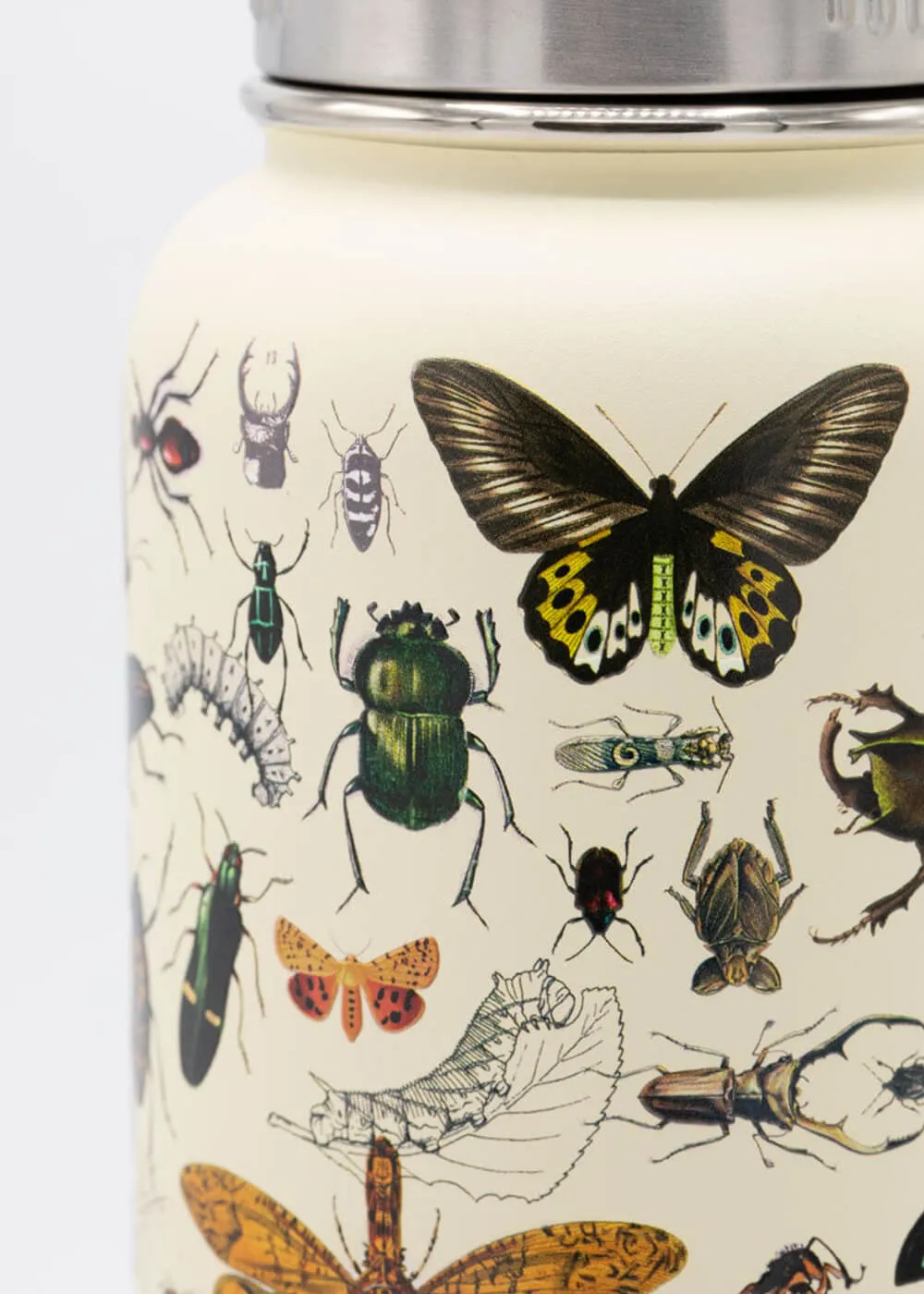 Succubus Home Insects Steel 950ml Insulated Bottle